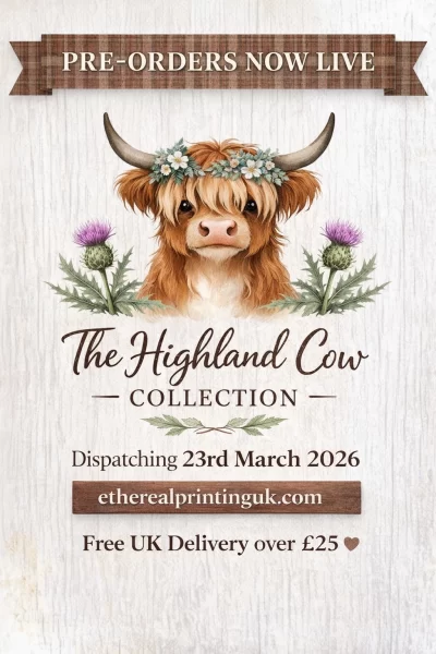 Highland Cow Savings Box pre order overview